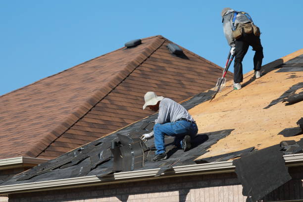 Best Roof Maintenance and Cleaning  in Holloman Af, NM